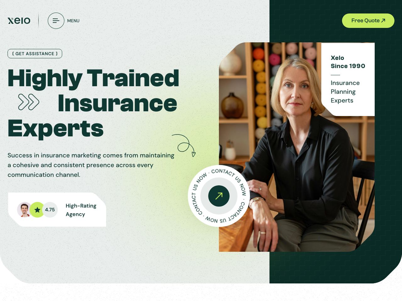 Insurance Consulting